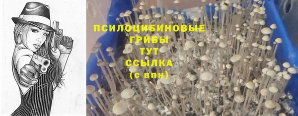 винт Богородск